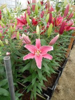 [5352 Mumbai DJ No01.JPG]